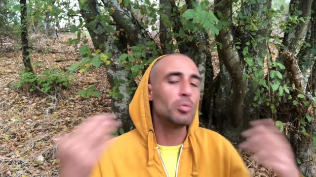 Ce qui fait que le 99% se soumet au 1% смотреть онлайн