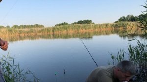 Рыбалка на Кубани Сазан,Карп
