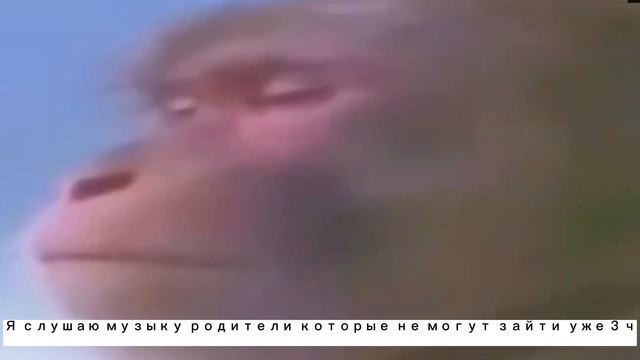 Ахааха жиза я в полной комнате🧸 смотреть онлайн