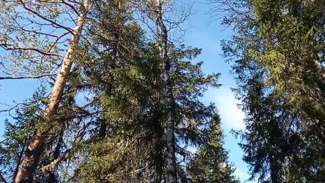 Охота осень 2023 смотреть онлайн