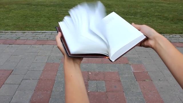 Почему я люблю книги смотреть онлайн