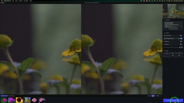 TOPAZ PHOTO AI (LIGHTROOM CLASSIC Batch Processing RAW Files) смотреть онлайн