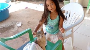 DANDO BANHO NO MEU GATO