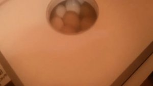 Инкубатор Норма "Парка". Особенности которые не написаны в инструкции.