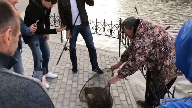 Чертановский Монстр! смотреть онлайн