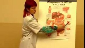 ПОЧЕМУ НАДО ПИТЬ ВОДУ?