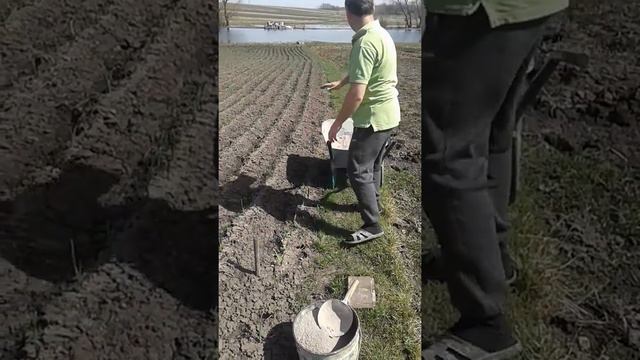 Піджива часника 2018.04.05 смотреть онлайн