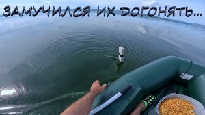 САЗАН НА ПЕРЕВЕРТЫШИ | КРАСНОЯРСКОЕ ВОДОХРАНИЛИЩЕ