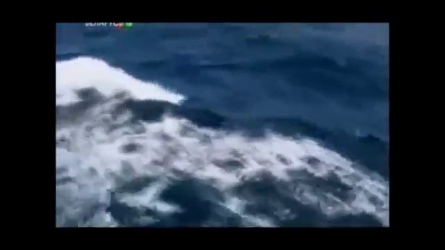 Христофор Колумб смотреть онлайн