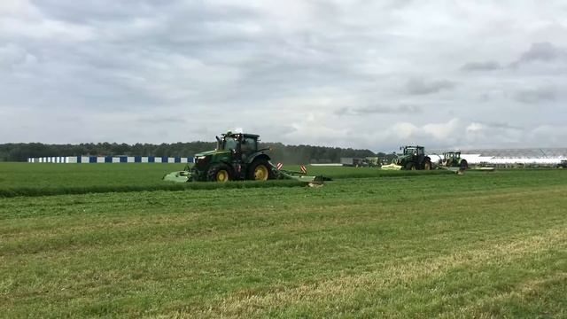 День Балтийского поля 2019, Калининград