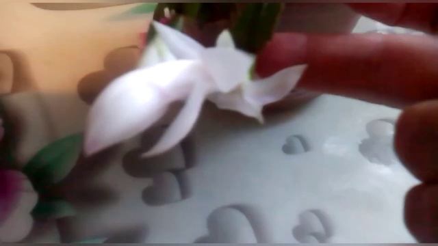 Не забываем про декабрист. График подкормок для обильного цветения?? смотреть онлайн