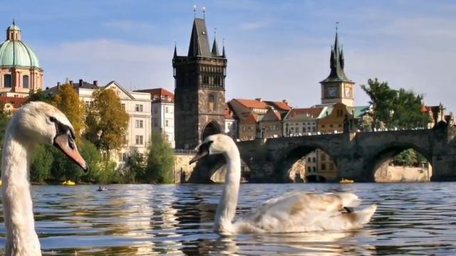 Тур в Чехия, Прага из Москвы от 23 000р. смотреть онлайн