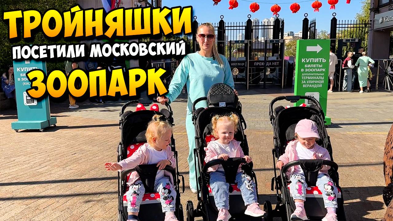 ТРОЙНЯШКИ посетили Московский ЗООПАРК 🦒🐫🐈 смотреть онлайн