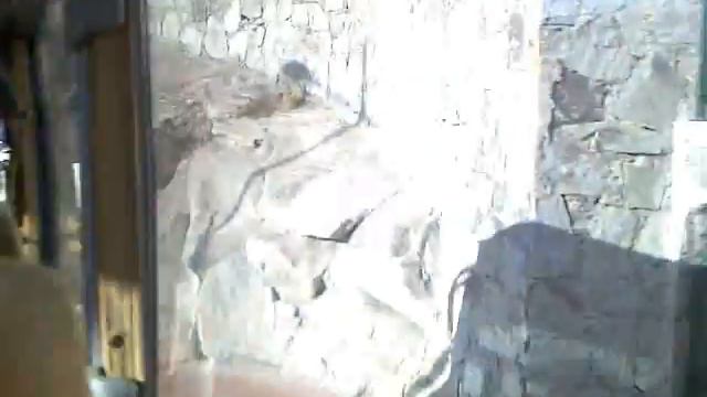 Gran Canaria, Puerto Rico, 01/12/2008 смотреть онлайн