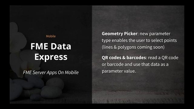 FME 2020.0 Sneak Peek смотреть онлайн