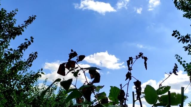 Михайлово чудо 19 сентября. что нельзя делать в этот день, история, приметы, молитвы. смотреть онлайн