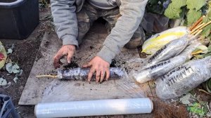 Как мы упаковываем саженцы малины на зиму и для отправки клиентам.