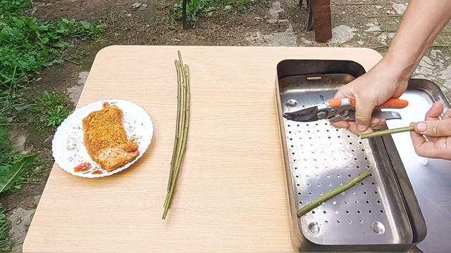 Из медицинской биксы получается крутая самоделка! И Вы сделайте себе такую! смотреть онлайн