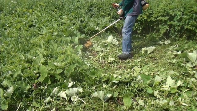 КИТАЙСКАЯ БЕНЗОКОСА VS "OLEO-MAC SPARTA 25" смотреть онлайн