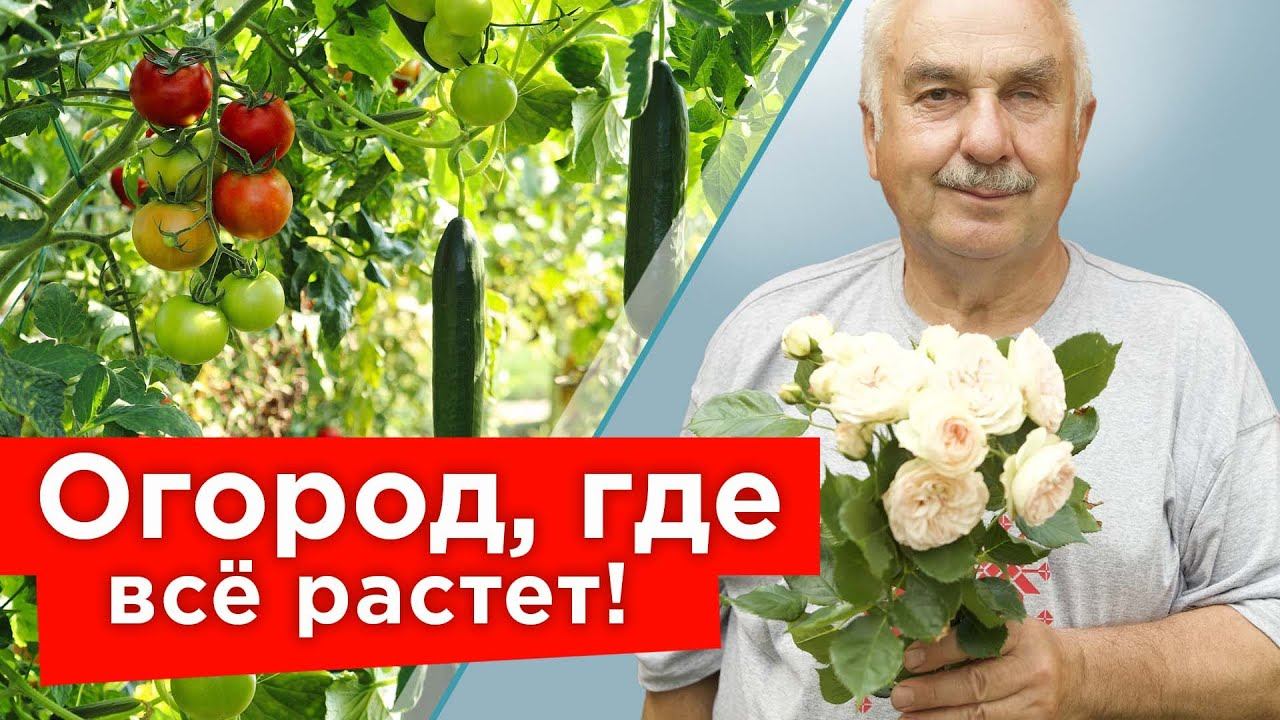 ЧТО СКРЫВАЕТ ИЗВЕСТНЫЙ АГРОНОМ? Петр Ломонос раскрывает свои секреты и показывает свой огород смотреть онлайн