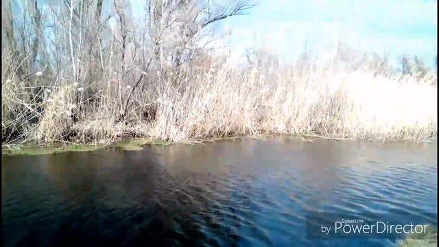 Съемка природы, Апрель 2017 смотреть онлайн