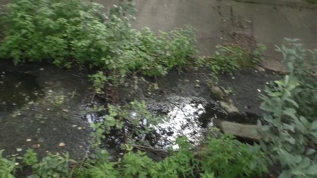 Поход выходного дня вдоль заброшенного канала Сурской оросительная системы. (часть 1). смотреть онлайн