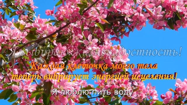 Здоровым быть легко! Позитивные Афиирмации на Здоровье. 25 кадр на Здоровье. Мантра Будды Медицины смотреть онлайн