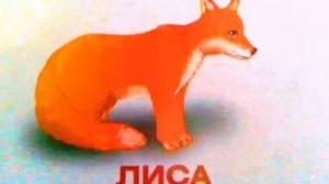 Лесные животные, животные средней полосы. Развивающее видео для детей