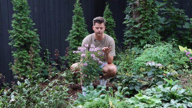 BOGO Annuals | Gardener in Love смотреть онлайн