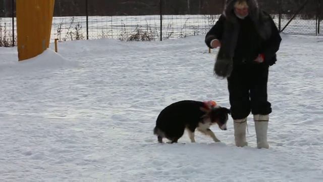 новогодняя тусовка 5 января 2015г ( Алёна и Василиса) смотреть онлайн