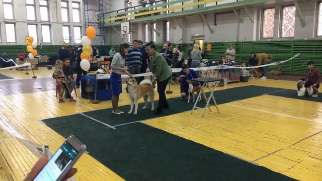 Бэсты юниоров. Владивосток 4 ноября 2017 смотреть онлайн