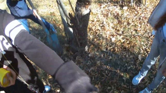 Дети ищут сокровища. Мероприятие из серии "мисливці - дітям". смотреть онлайн