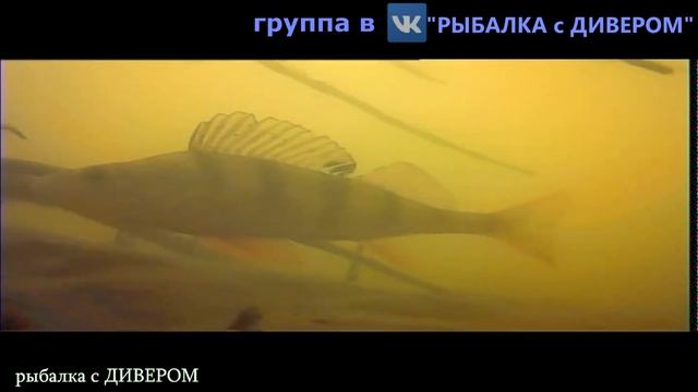 ПОДВОДНЫЙ МИР Ахтубы - апрель 2018, камера fishcam 700, подводная камера как снимает в мутной воде смотреть онлайн