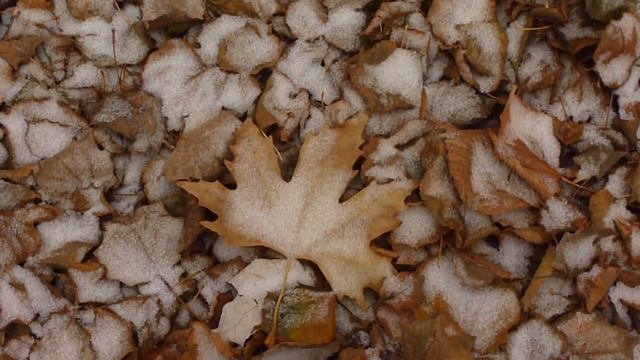 ПОЧТИ ЗИМА ;-)) смотреть онлайн