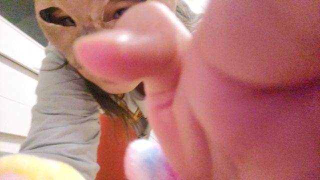 учиться прыгать как собака