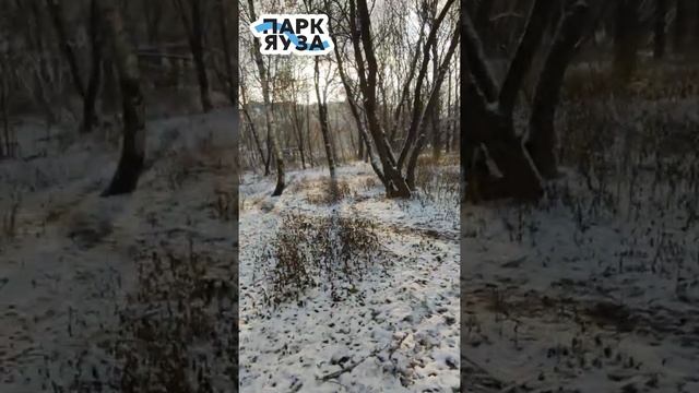 ООПТ смотреть онлайн