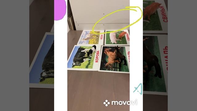 Изучаем домашних животных смотреть онлайн