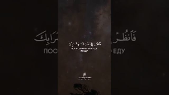 Сура 《Бакара》аят-259 🍃 🎤 Абдуль-рахман аль-Усси смотреть онлайн