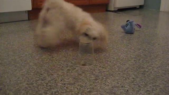 peanut games take two смотреть онлайн
