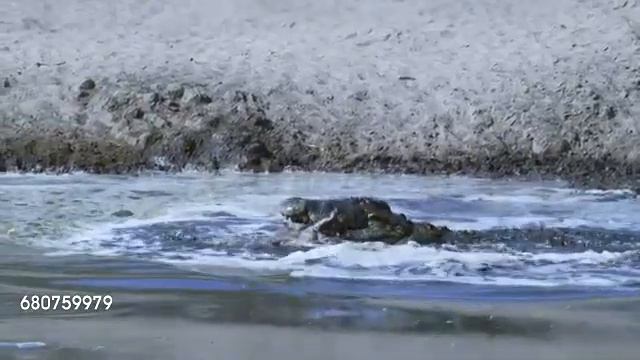 Я РИЛ Х3 ЧТО ТУТ ПРОИСХОДИТ КАКОЕТА ГАВНЁ смотреть онлайн