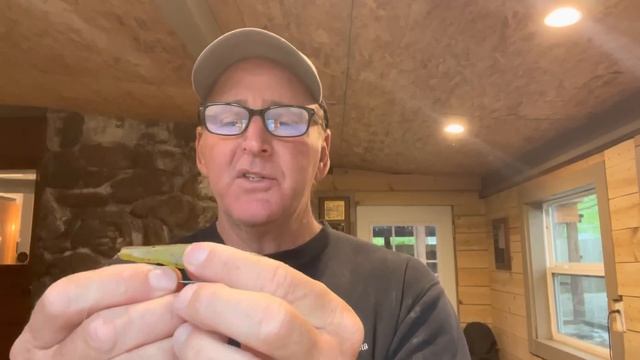This “Flippin Fluke” Rig Gets Me 30-50 Bass A Day смотреть онлайн