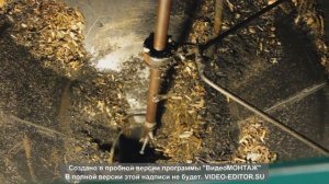 Пеллетный котёл на щепе