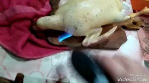 Разделать утку, за 15минут. Быстро и красиво.