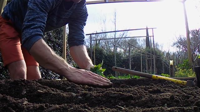 CARRÉ POTAGER - 5 cultures sur 1 m² ?! ? смотреть онлайн