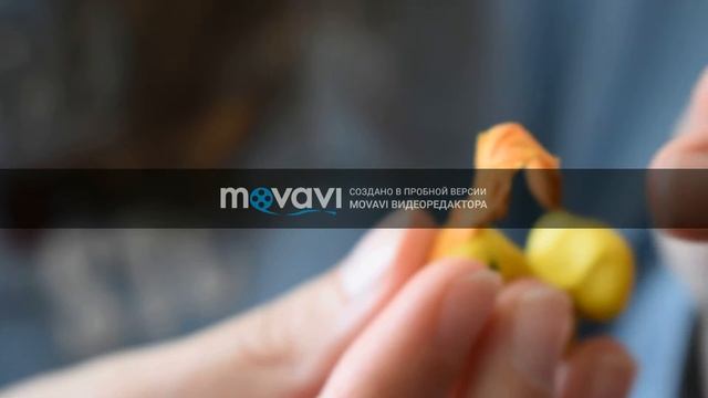 Поэтапное выполнение кота ученого из пластилина 14 04 2020. смотреть онлайн