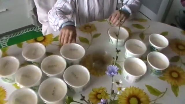 Как сделать мороженое дома? смотреть онлайн