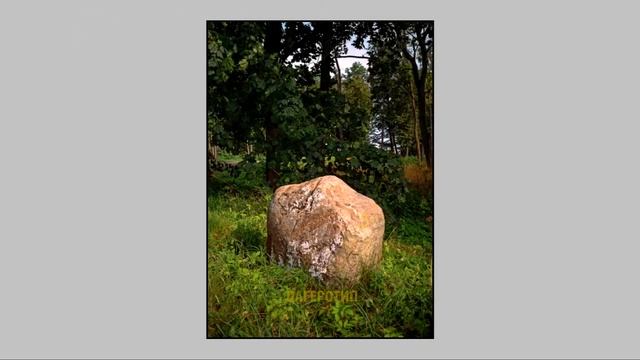 Olympus AF 10 Mini & Fujicolor C200