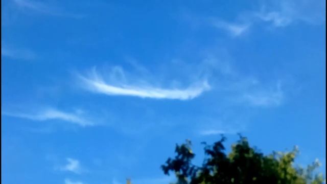 И. Брагина-Если посмотреть на небо. Читает М. Белокопытова. Библиотека мкрн. Луговая смотреть онлайн