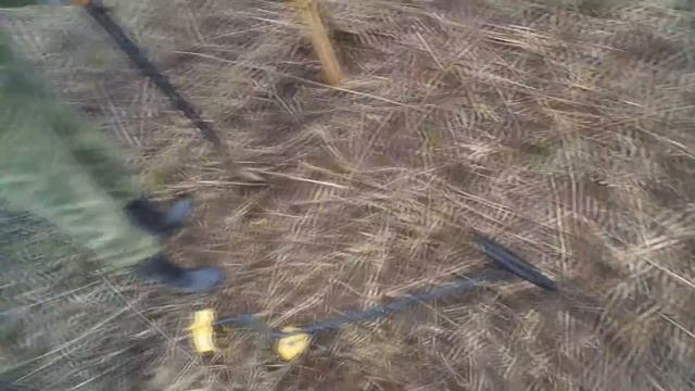 Открытие Сезона 2016.Коп в старой деревне и хорошие находки! смотреть онлайн