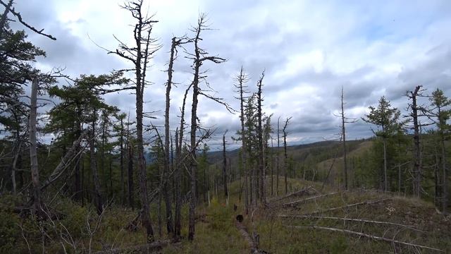 Крака в сентябре смотреть онлайн